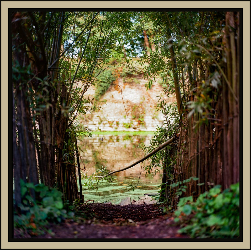 Quietude - tirage encadre