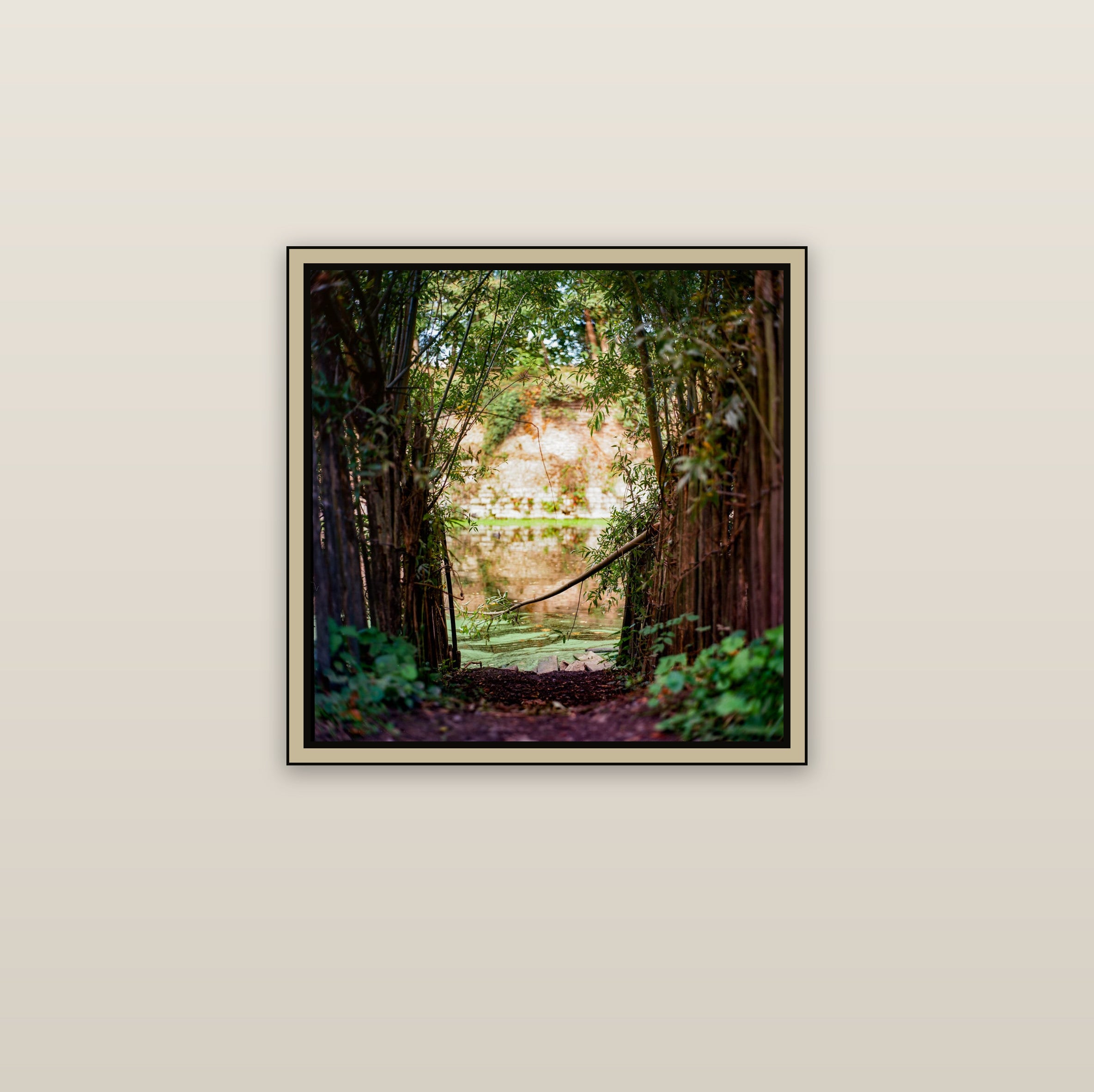 Quietude - mur