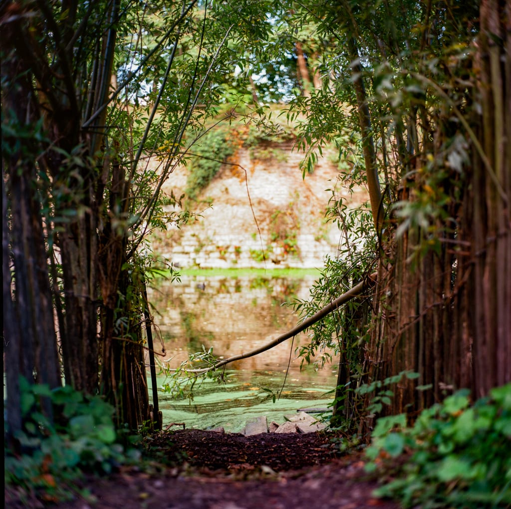 Forêt de bambous encadrant un étang tranquille avec reflet de mur en pierre, moyen format argentique