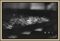 cactus-spines-extreme-macro-abstract-black-white-film-w2b - tirage encadre