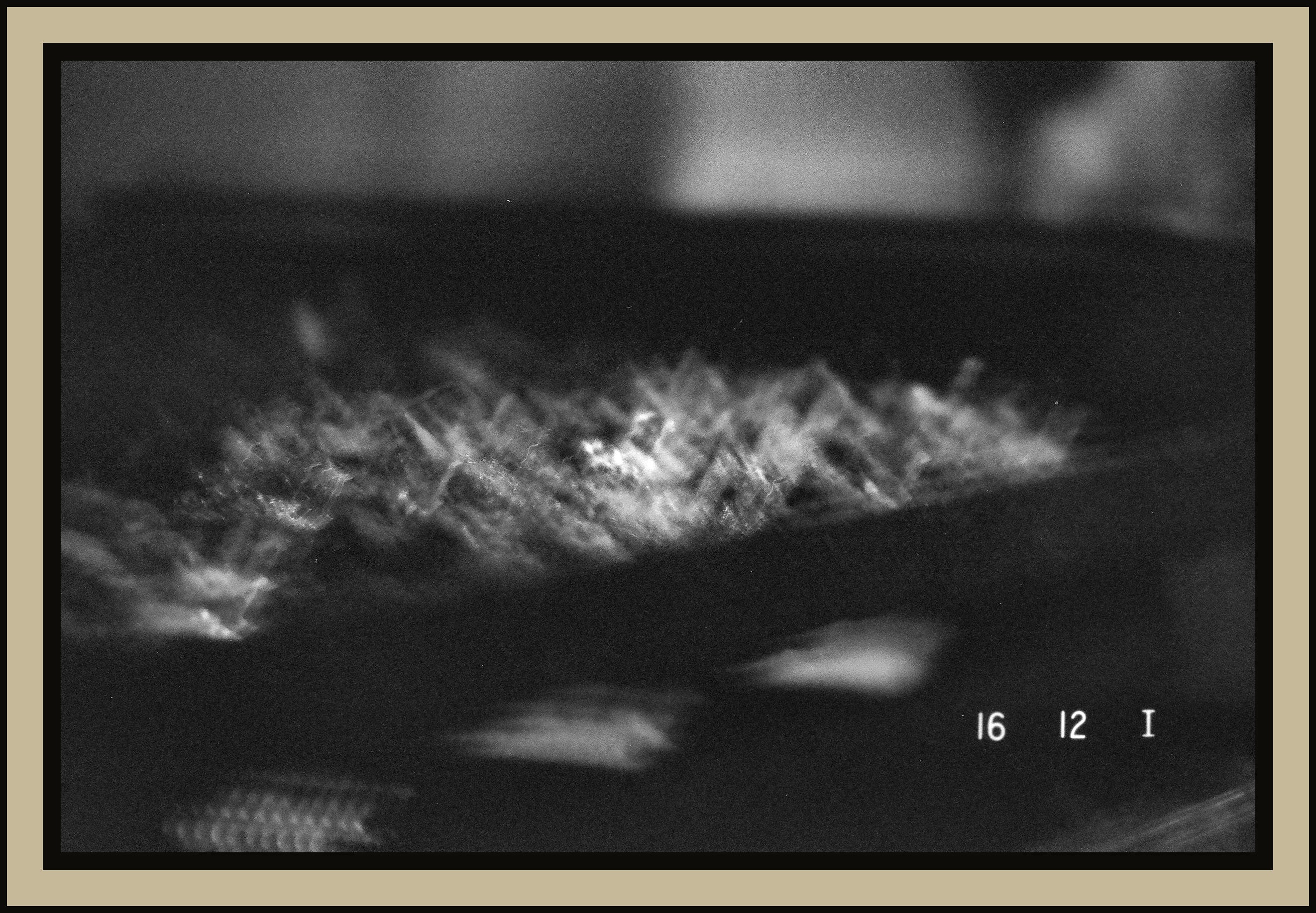 cactus-spines-extreme-macro-abstract-black-white-film-w2b - tirage encadre