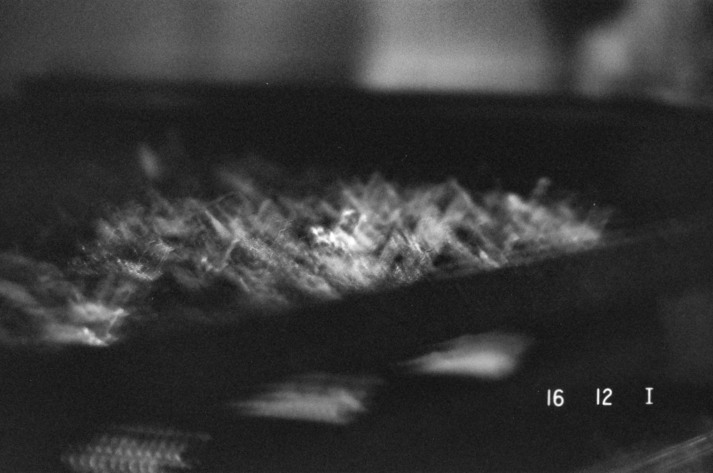 Macro extrême d'épines de cactus en motif abstrait noir et blanc, étude de texture argentique