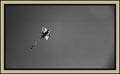 Trajectoires - tirage encadre