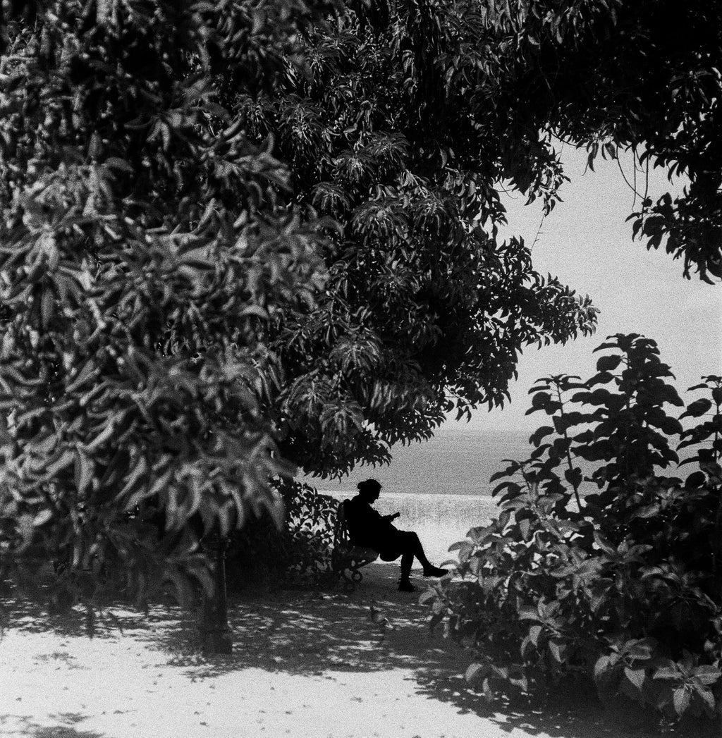 Silhouette solitaire assise sous un arbre tropical face à la mer, argentique noir et blanc